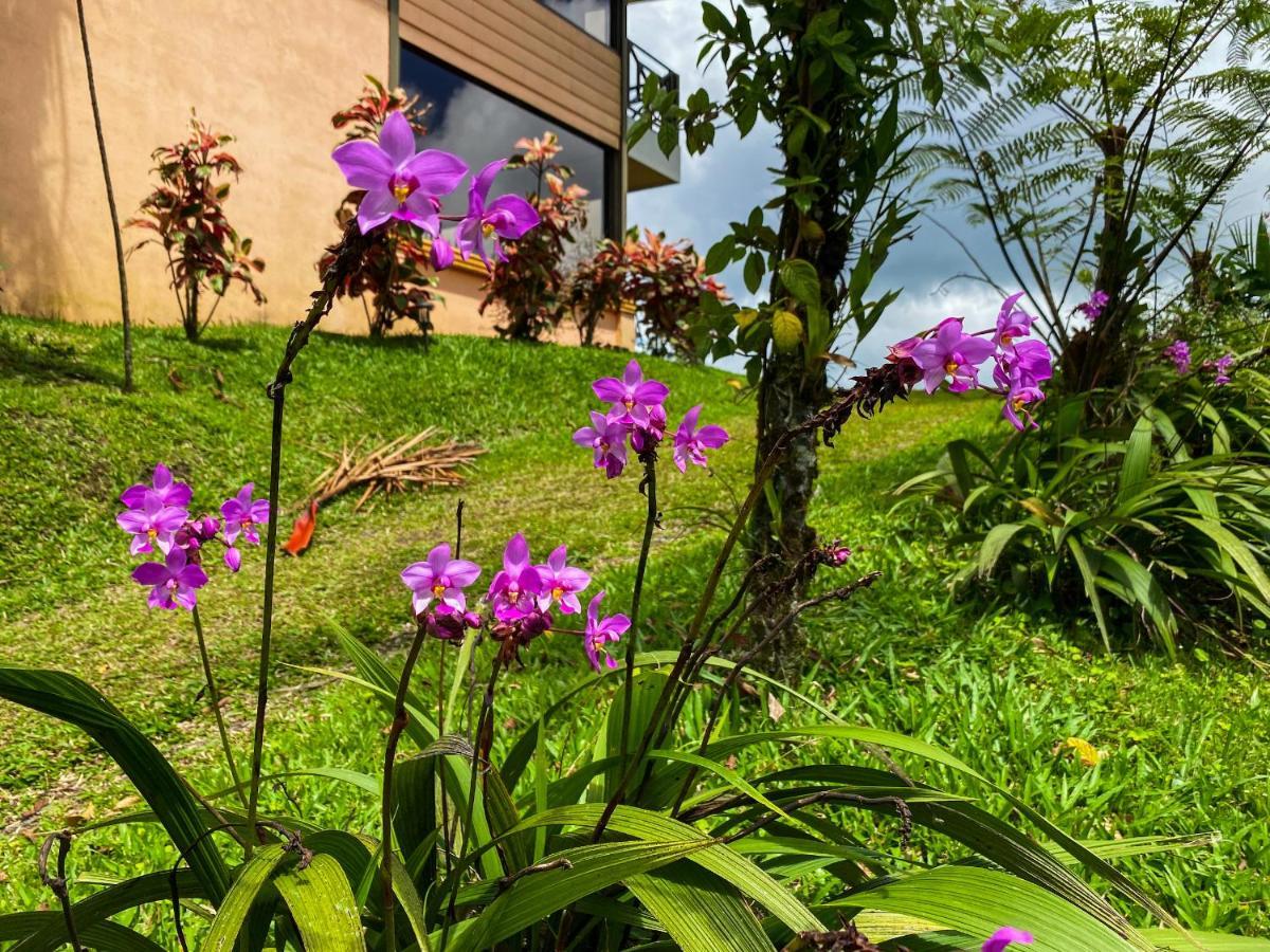 Retiro Del Lago Arenal Lodge El Castillo Экстерьер фото