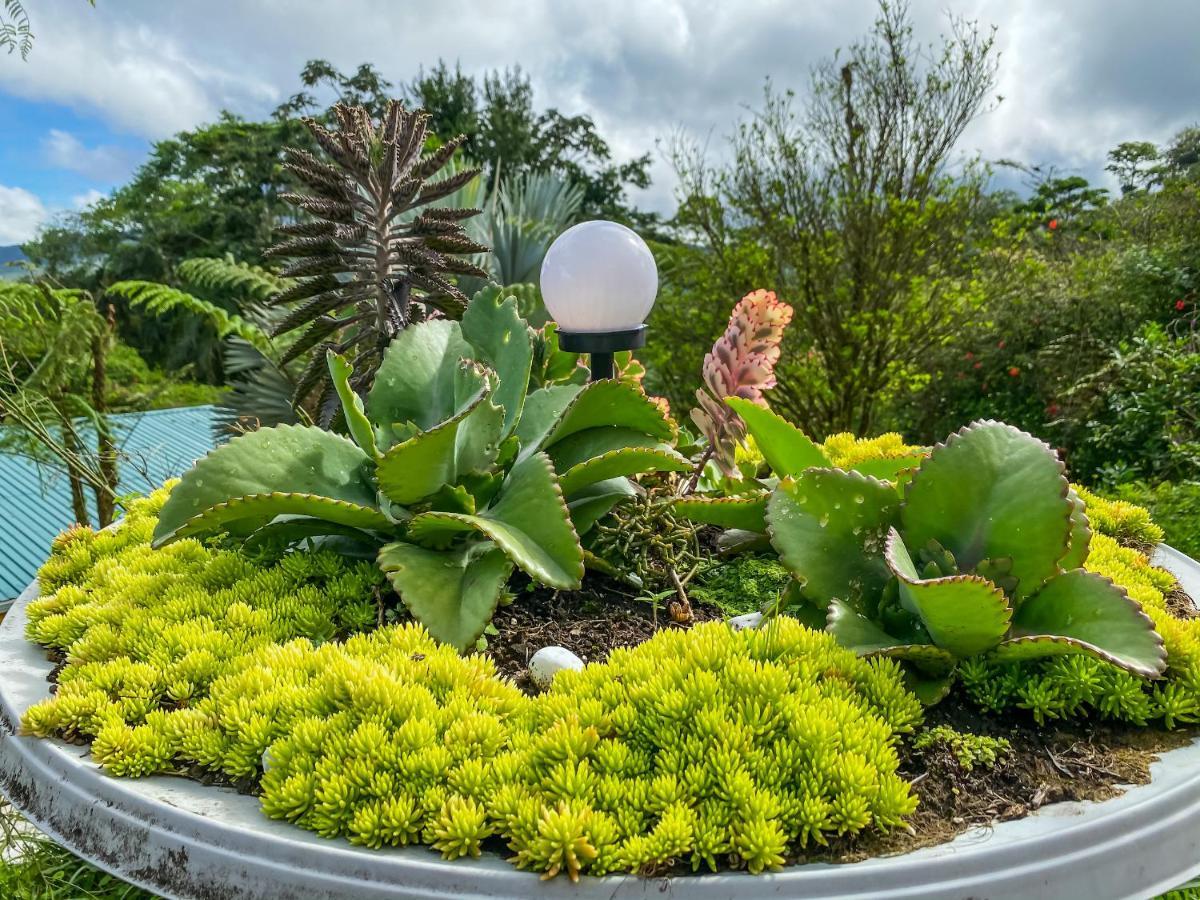 Retiro Del Lago Arenal Lodge El Castillo Экстерьер фото